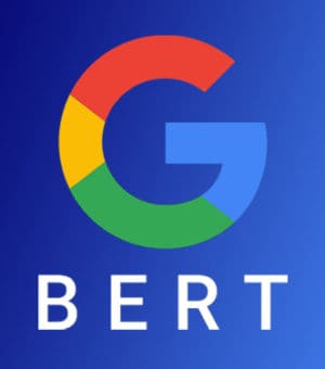  Google Bert logo