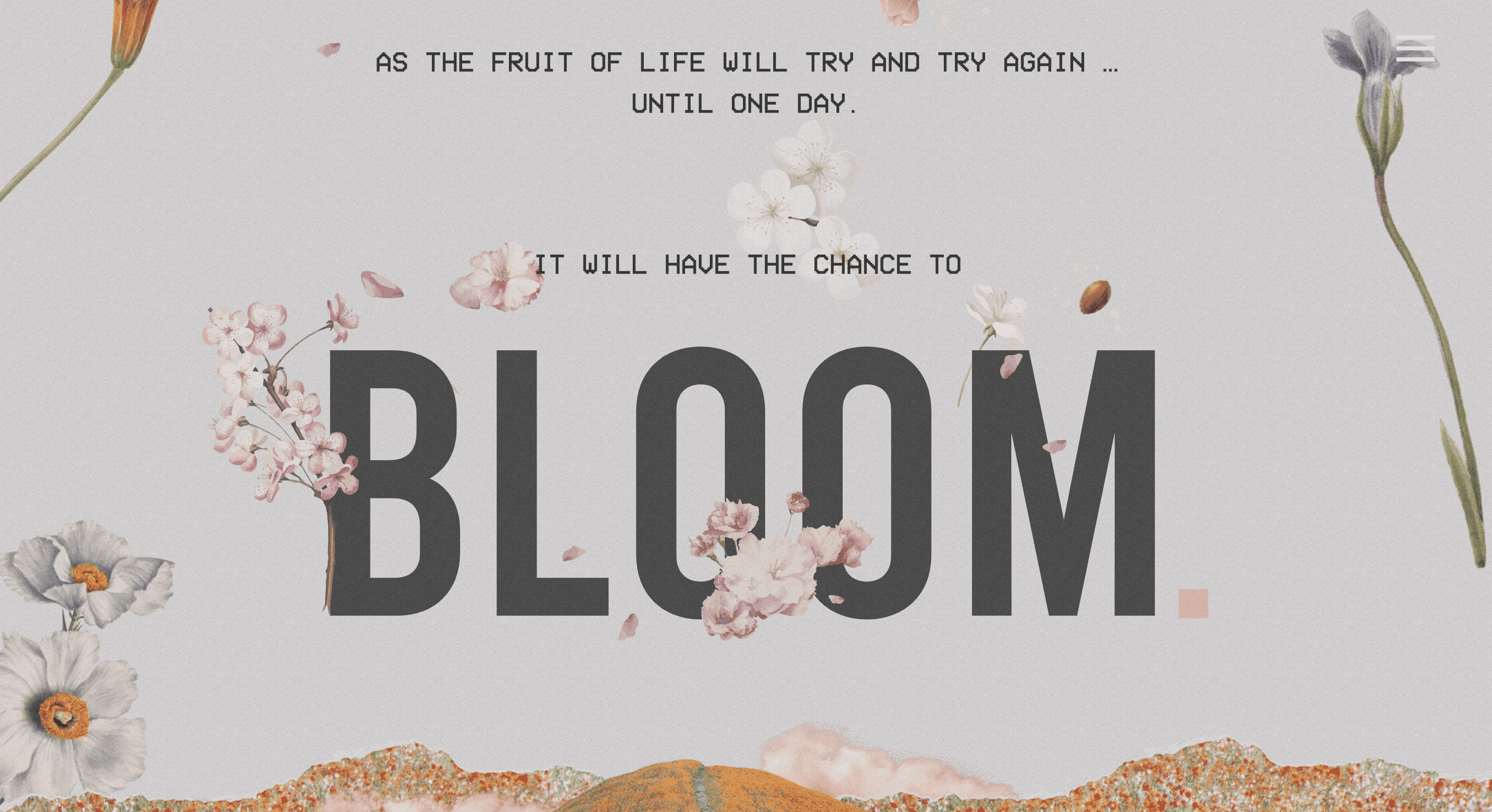  Screenshot of the Bloom website